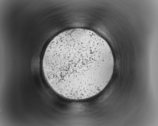 X0000089740534200707121509