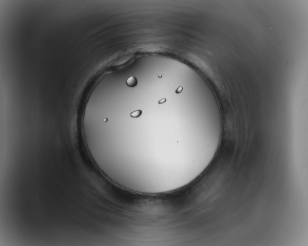 X0000089740535200707121509