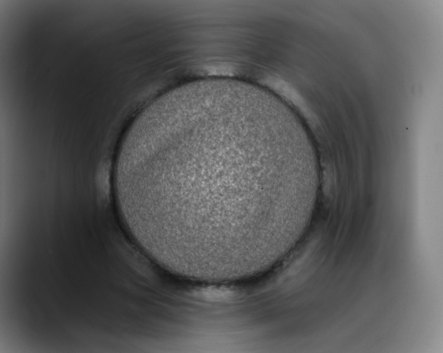 X0000089740537200707121509