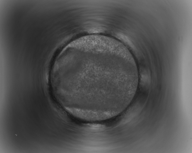 X0000089740539200707121509