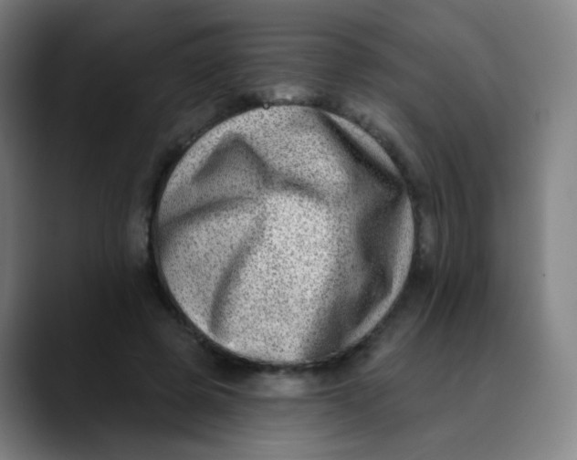 X0000089740545200707121509