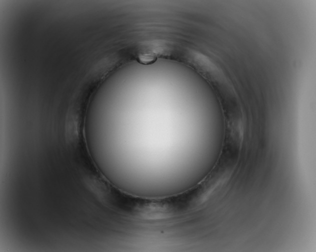 X0000089740546200707121509