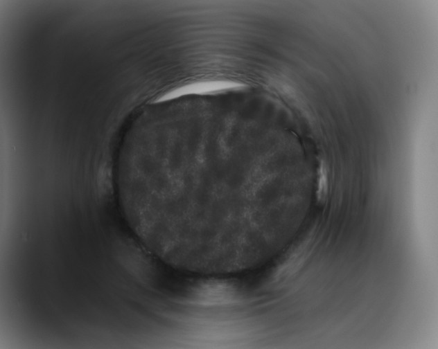 X0000089740547200707121509