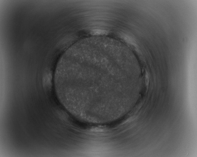 X0000089740550200707121509