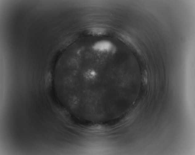 X0000089740551200707121509