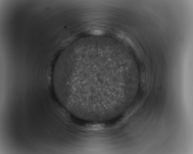 X0000089740553200707121509