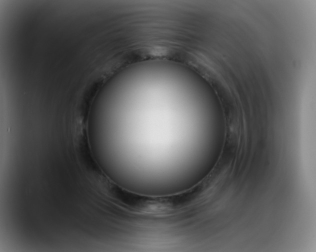 X0000089740555200707121509