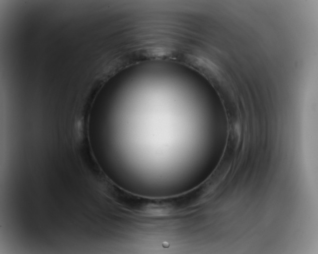 X0000089740556200707121509