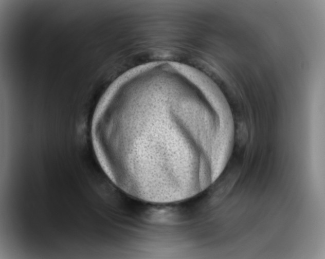 X0000089740557200707121509