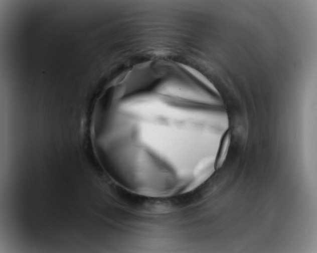 X0000089740559200707121509