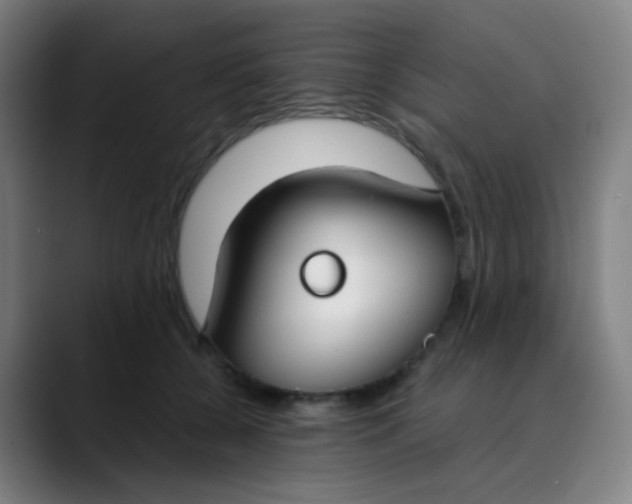 X0000089740560200707121509