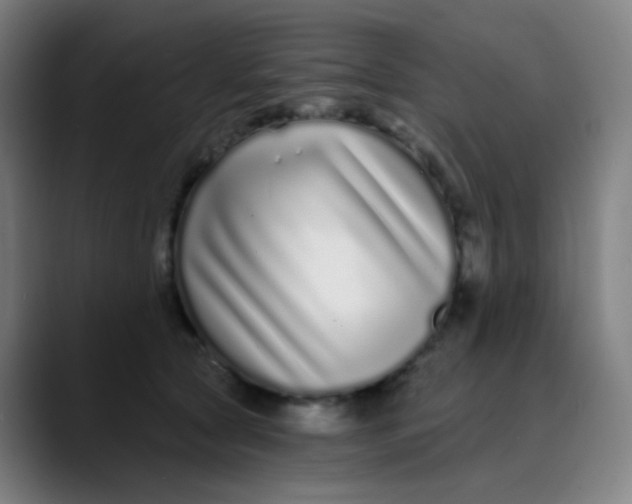 X0000089740561200707121509