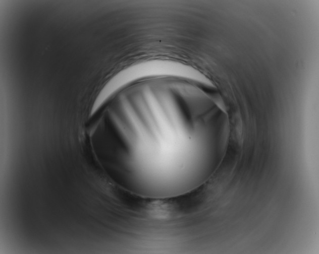 X0000089740562200707121509