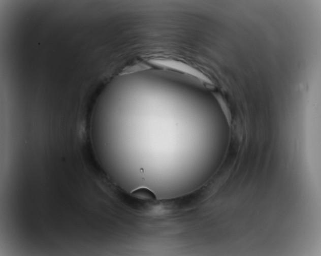 X0000089740564200707121509