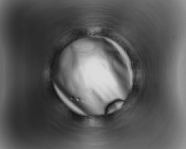 X0000089740565200707121509