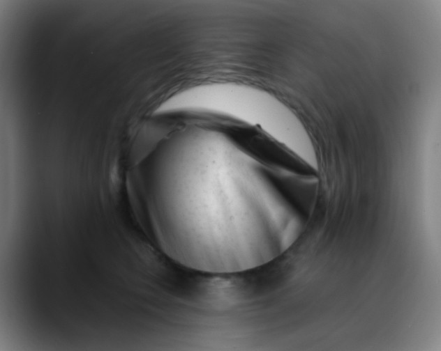 X0000089740566200707121509