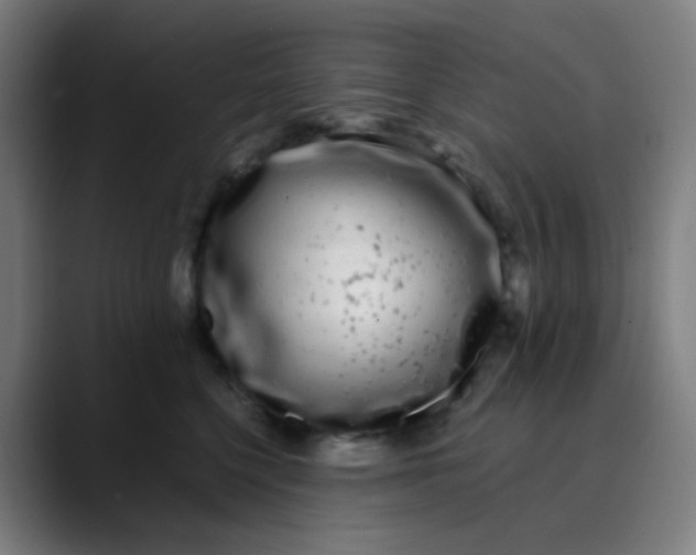 X0000089740568200707121509