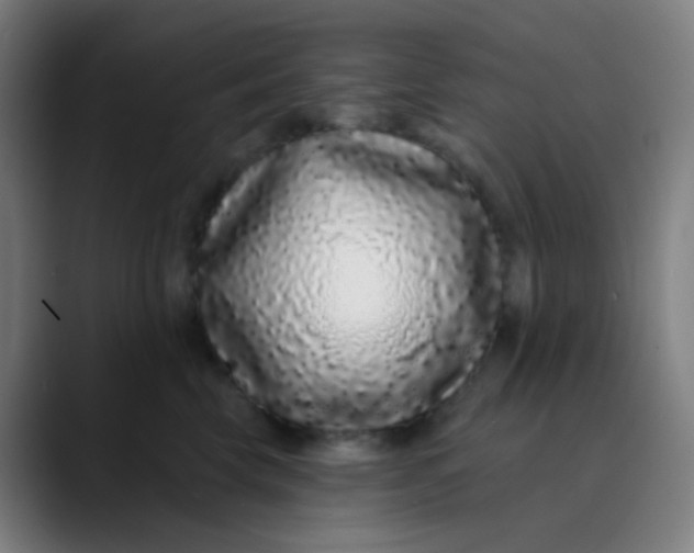 X0000089740569200707121509