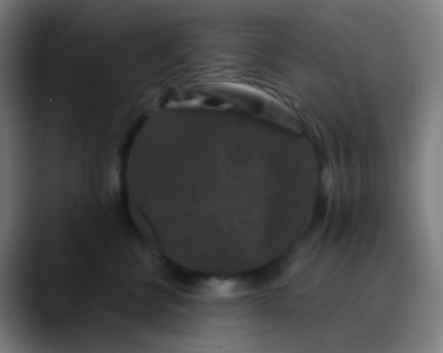 X0000089740570200707121509