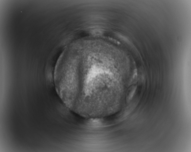 X0000089740573200707121509