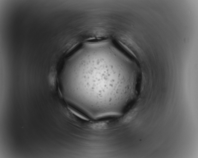 X0000089740576200707121509