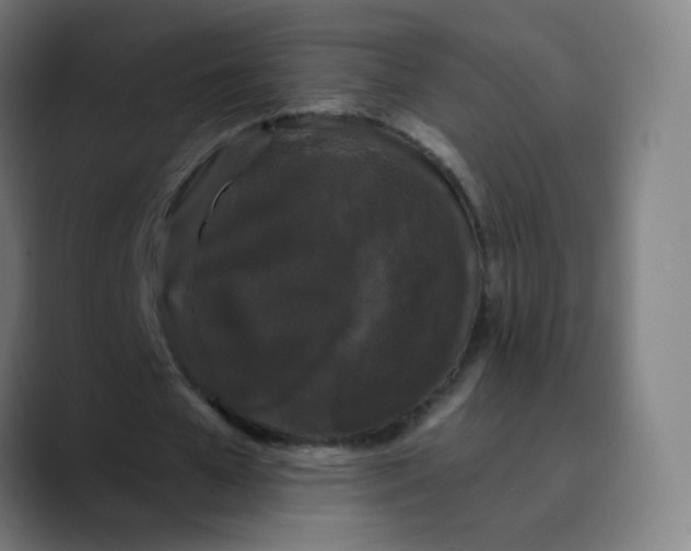 X0000089740577200707121509