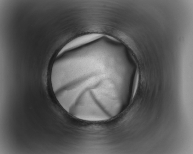 X0000089740578200707121509