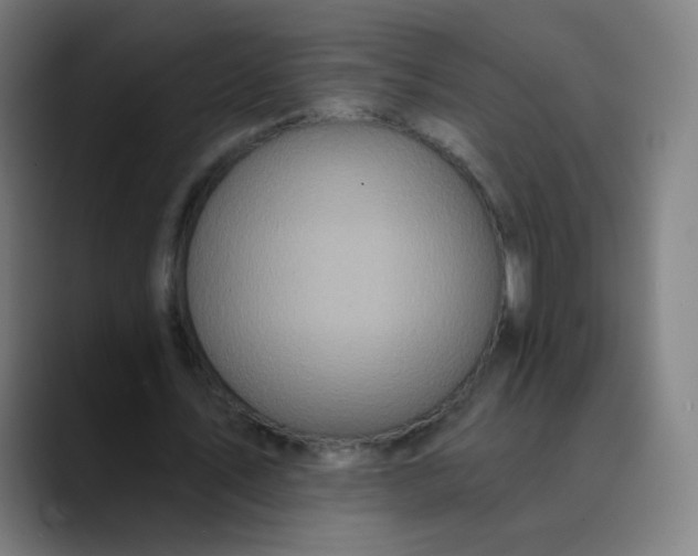 X0000089740579200707121509