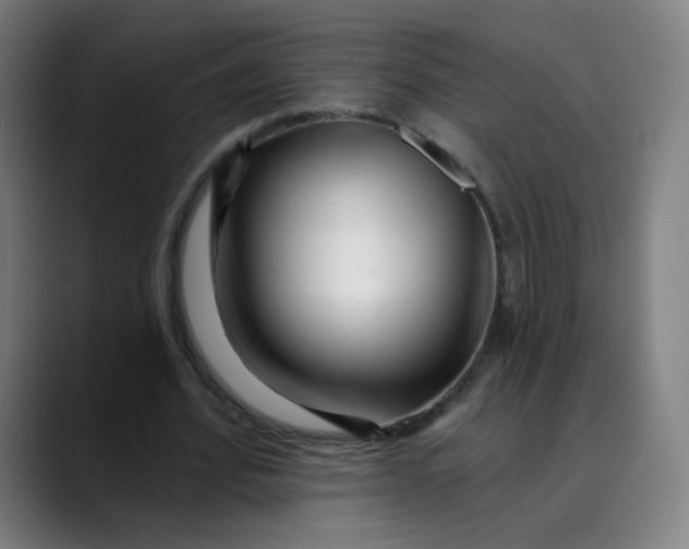 X0000089740580200707121509