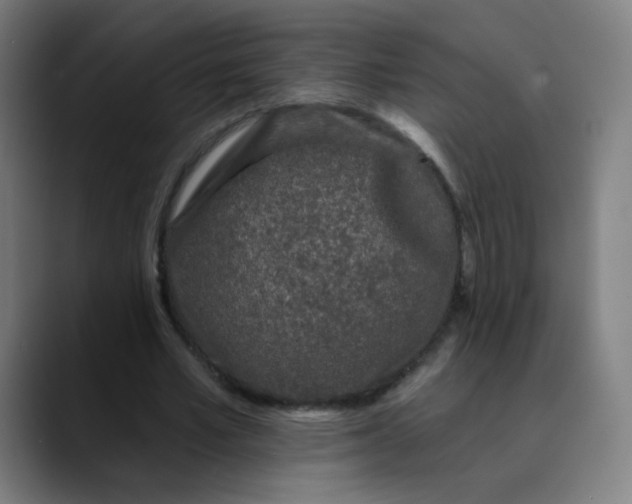 X0000089740581200707121509