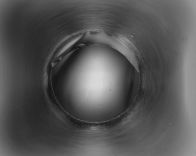 X0000089740584200707121509