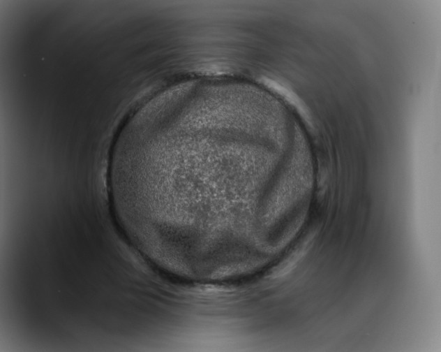 X0000089740585200707121509