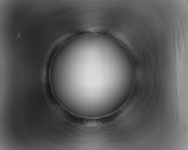 X0000089740587200707121509