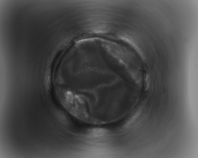 X0000089740590200707121509