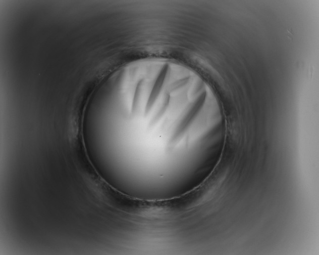 X0000089740593200707121509