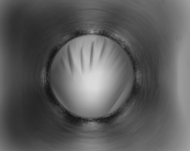 X0000089740594200707121509