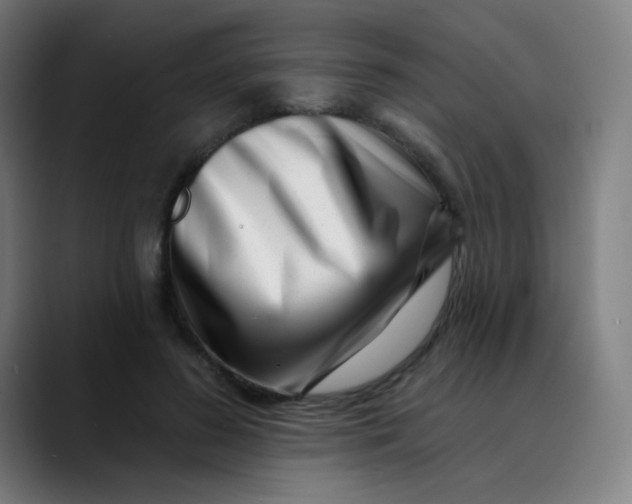 X0000089740596200707121509