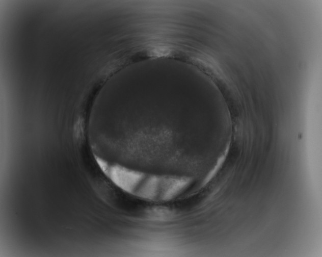 X0000089740598200707121508