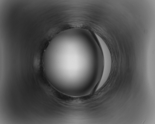 X0000089740600200707121508