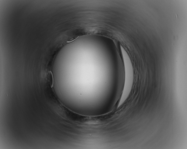 X0000089740601200707121508