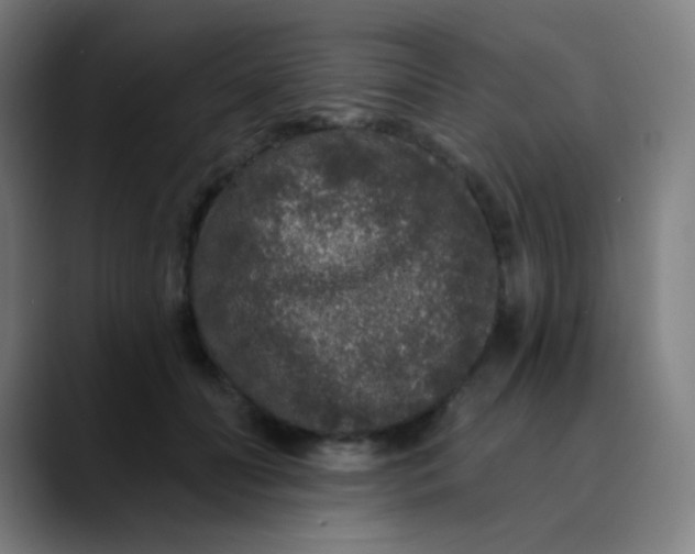 X0000089740606200707121508