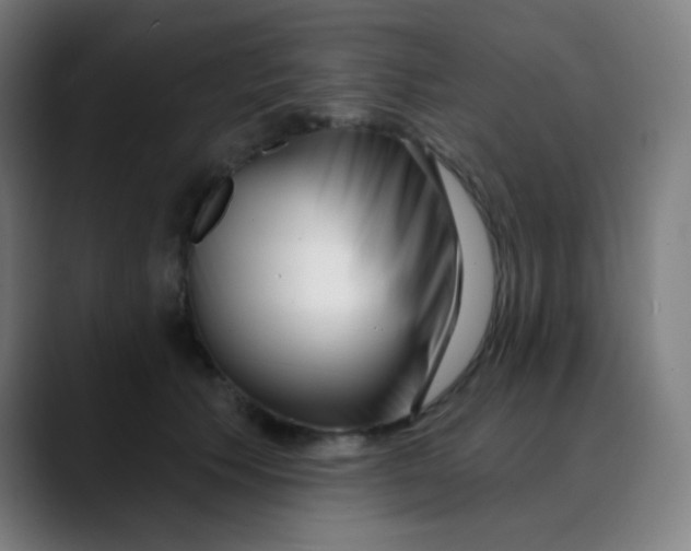 X0000089740609200707121508