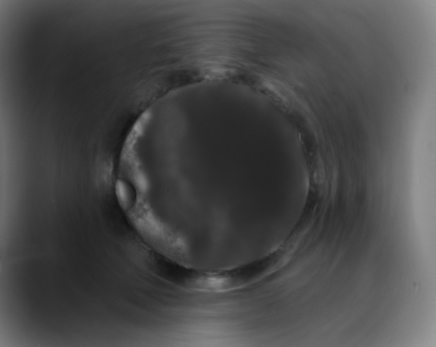 X0000089740610200707121508