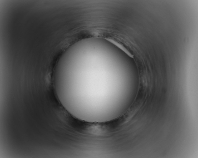 X0000089740611200707121508