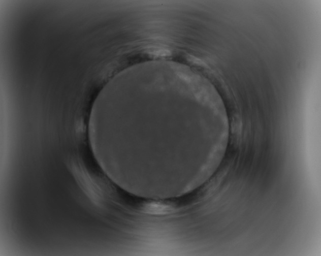 X0000089740614200707121508