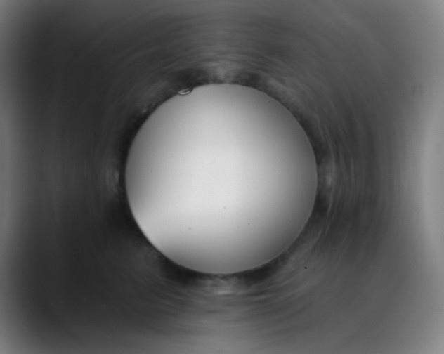 X0000089740615200707121508