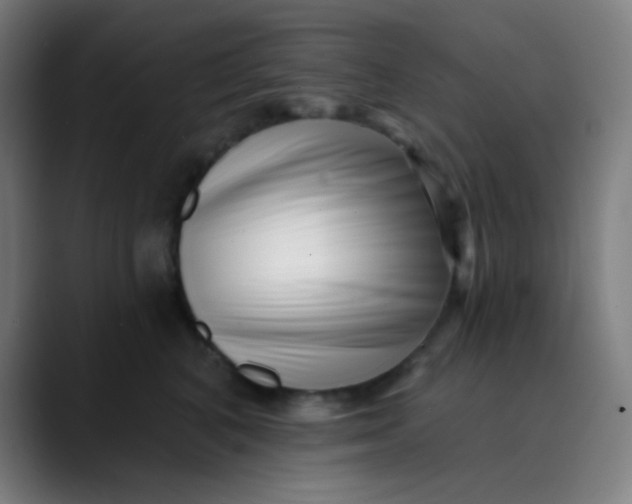 X0000089740616200707121508