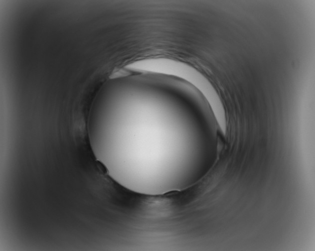 X0000089740617200707121508