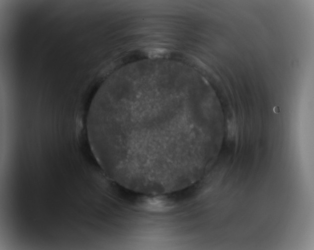 X0000089740618200707121508