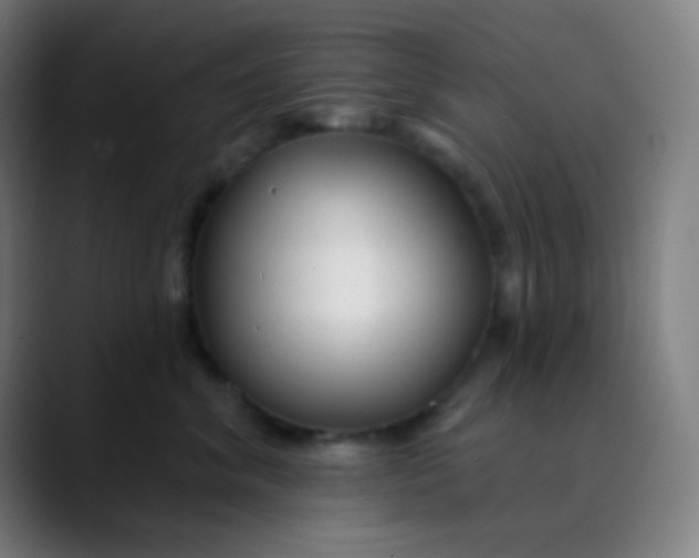 X0000089740620200707121508